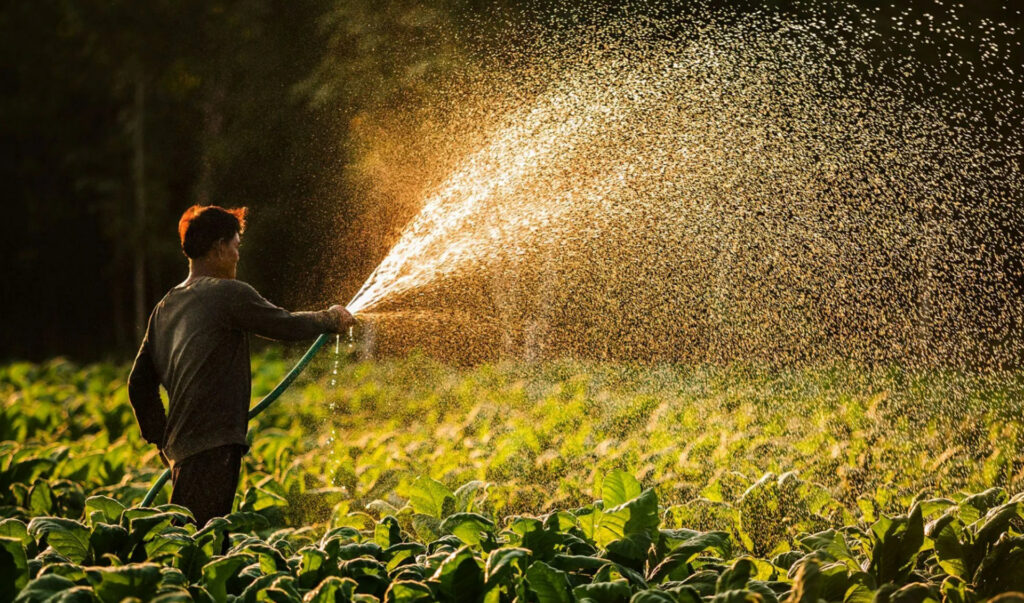 Agricultura de origen ético