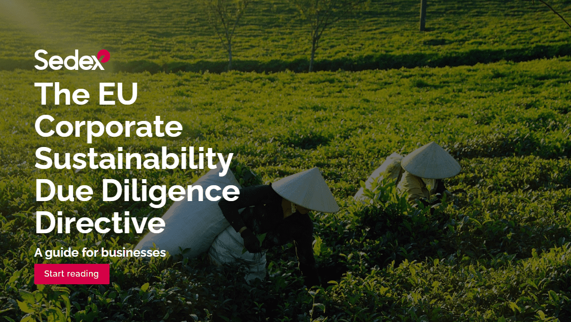 EU Corporate Sustainability Directive A guide for businesses Sedex