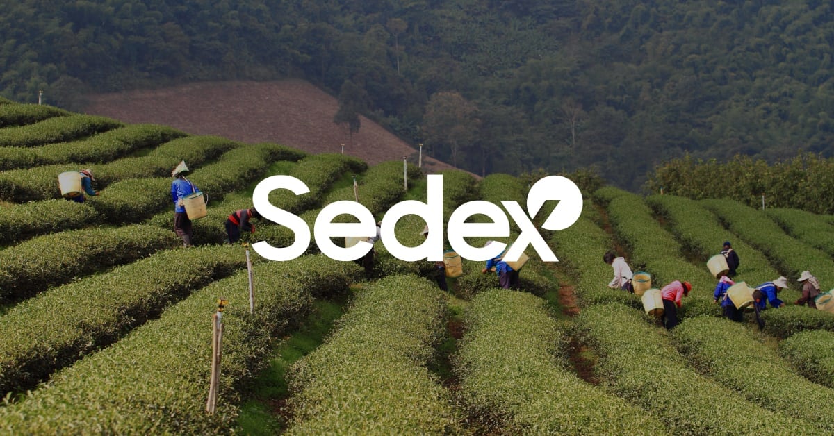 その他 TREEDOM その他 TREEDOM Unit 5 Triple Tree Clamps ZX-14 – 1 Stop Speed