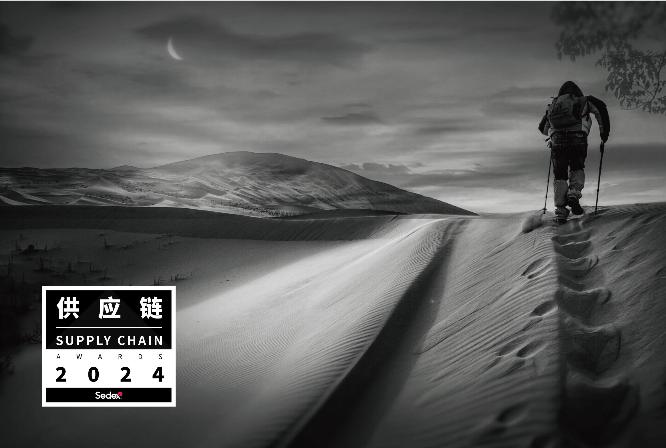 2024 Sedex 供应链大奖 积极进取奖 Sedex
