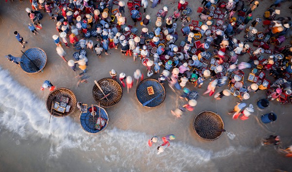 Aerial shot of a shoreline seafood market