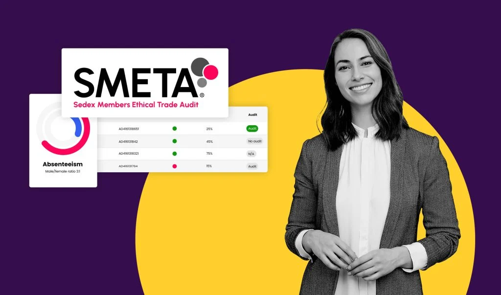 Sedex ESG Solutions SMETA Auditoría V2 1024x603 1