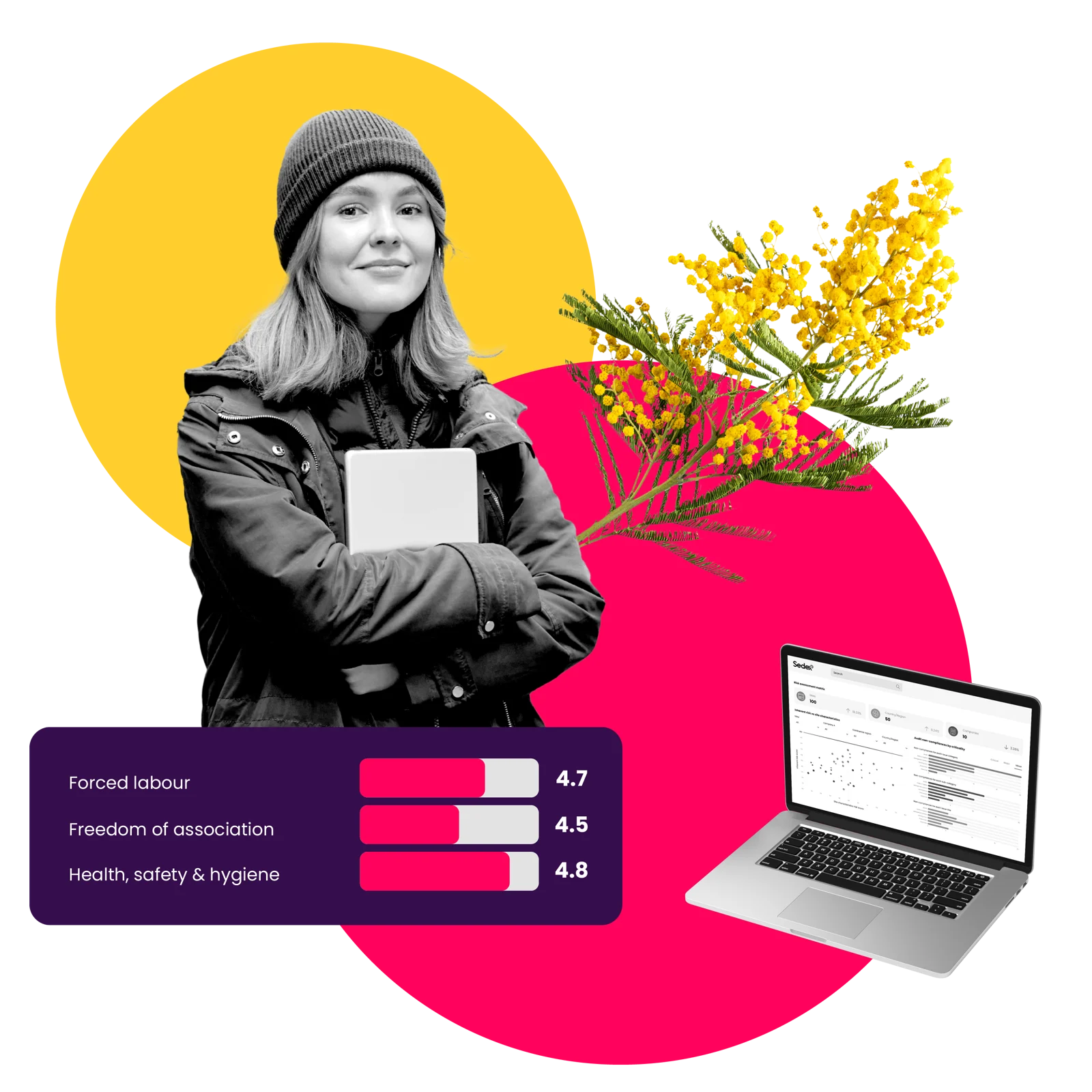Woman holding a tablet beside a laptop showing the Sedex risk assessment dashboard, with scores for forced labour, freedom of association, and health, safety and hygiene