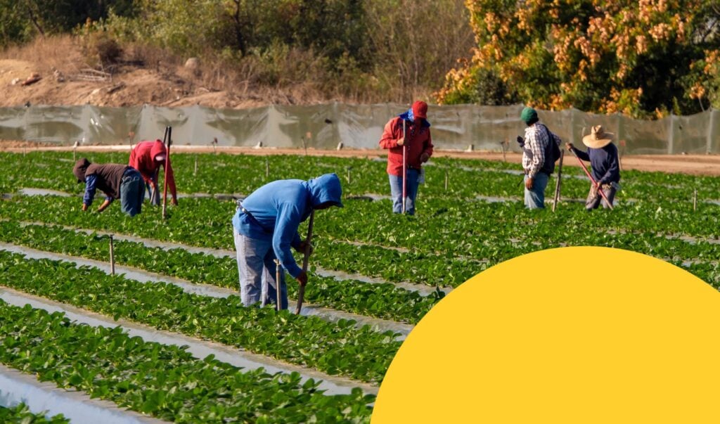 HRDD - Human Rights and Environmental Due Diligence Maturity Tool